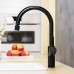 Смеситель для кухни Damixa Eclipce DX310722300 с двухрежимным регулируемым аэратором цвет черный