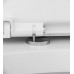 Комплект Ам.Рм инсталляция с клав Pro S цвет никель мат с подвесным унитазом Awe с сид м/лифт IS47031.111738